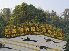 -西双版纳原始森林公园