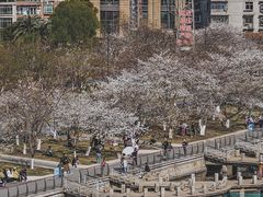 -西北湖绿化广场