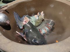 -鲜潭蒸汽石锅鱼(五道口购物中心店)