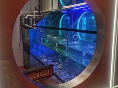 -鱼酷活鱼烤鱼(恒隆广场店)