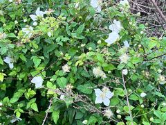 -极客修手机维修·电脑维修·家电维修清洗(五一广场店)