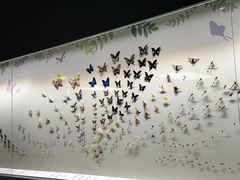 -香港科学馆