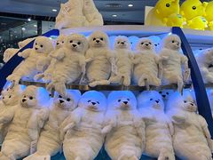 -上海海洋水族馆