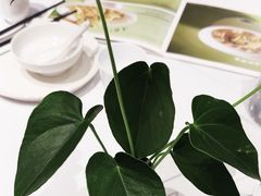 -眉州东坡(清河万象汇店)