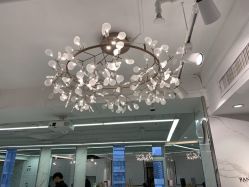 -潘多拉Hairsalon