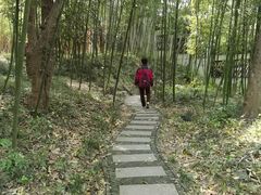 -大明寺素斋