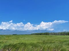 -野鸭湖国家湿地公园