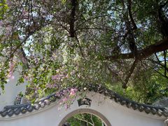 -深圳国际园林花卉博览园