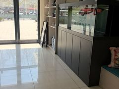 -天宠宠物医院24小时·急重症诊疗中心·全科·腔镜特色(和平分院)