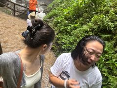 -莫里热带雨林景区