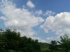 -青龙山国家森林公园