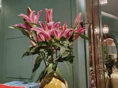 -南堂馆·新川菜(春熙路店)