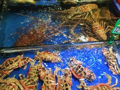 -大东海海鲜酒楼(渔人码头总店)