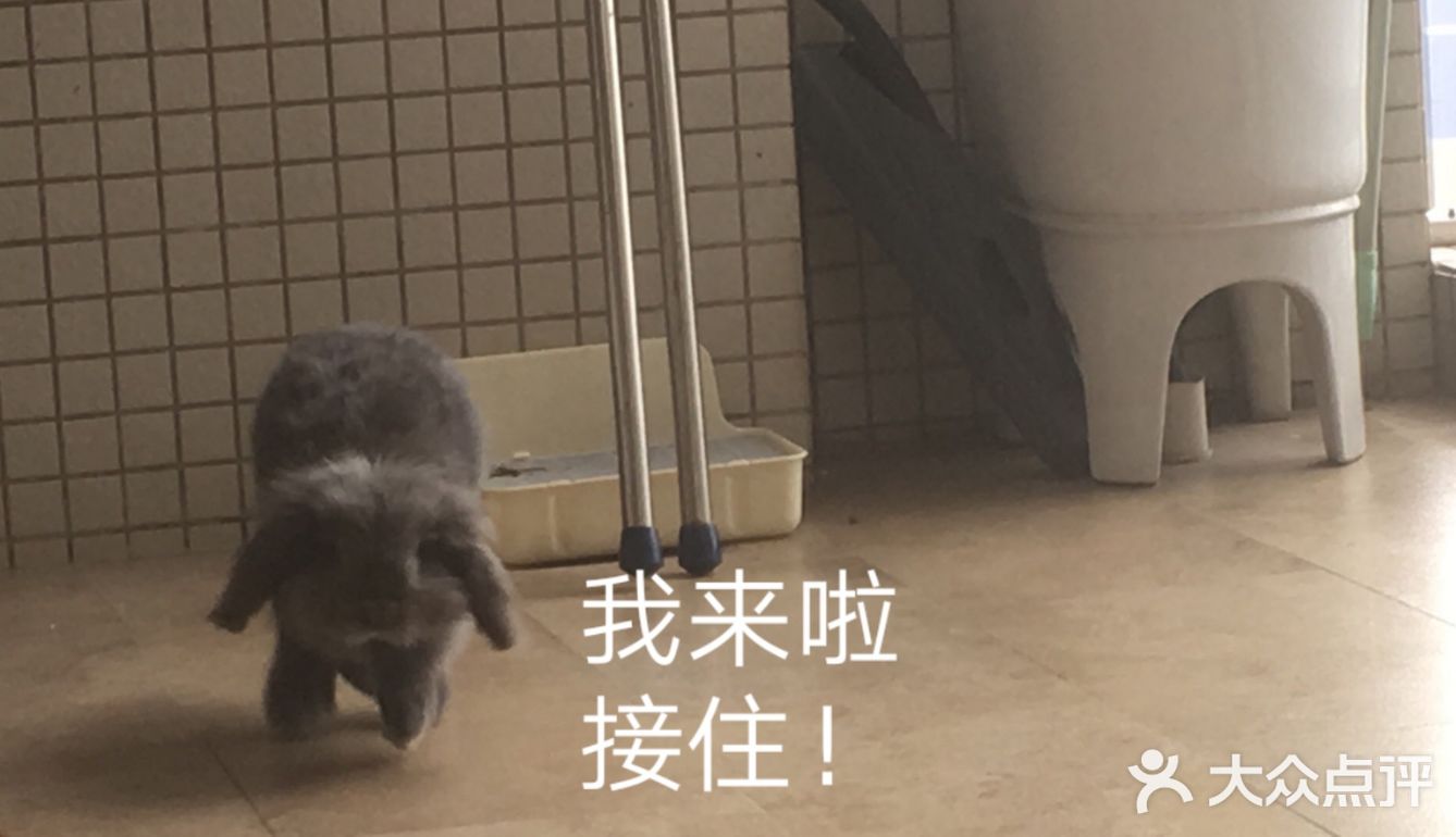我最喜欢😘得小兔兔