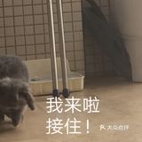 我最喜欢😘得小兔兔