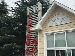 -日照海滨国家森林公园