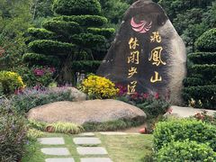 -飞凤山奥体公园
