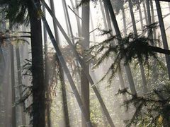 -天芳悦潭度假村温泉