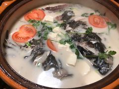 千岛湖浓汤鱼头-全乐鱼馆·淳牌有机鱼直营店