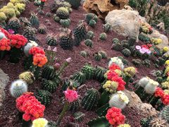 -南通洲际绿博园