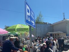 -青藏高原野生动物园