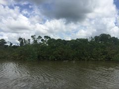 -东寨港红树林旅游区