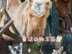 -长鹿旅游休博园