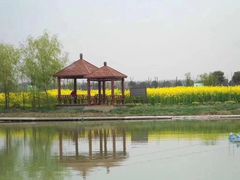 -上膳源有机蔬菜(三泉路店)