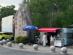 -合肥滨湖国家森林公园