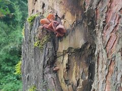-龙苍沟森林公园