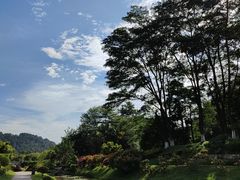 -东莞植物园