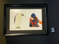 -罗红摄影艺术馆