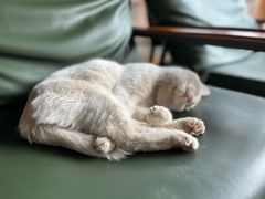 -田德能咖啡博物馆