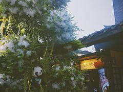 -成都宽窄巷子西美居酒店