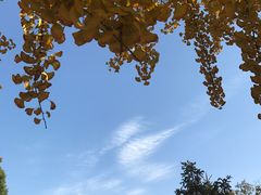 -辽宁大学(崇山校区)