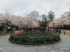 -堤角公园
