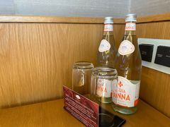 -新加坡文华东方酒店