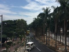 -兰芳园(上环店)