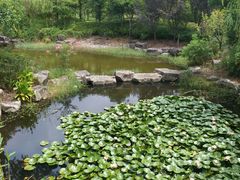 -宁波九龙湖开元度假村