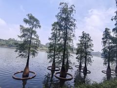 -南国桃园旅游度假区