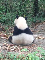 -大望京儿童游乐场