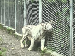 -重庆动物园·东二门售票处