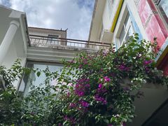 -尼玛藏家风味园(阿山食城店)