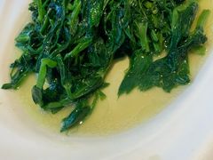 豌豆尖-川香楼酒家