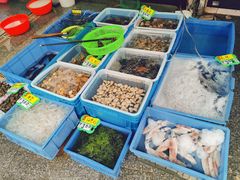 水产区-湛江海鲜餐厅
