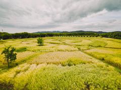 -苏州太湖西山岛开心农场