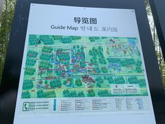 -黄海国家森林公园