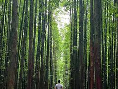-山王坪喀斯特国家生态公园