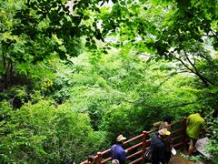 -野三坡清泉山风景区
