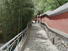 -大班家政月嫂育儿嫂(总部店)